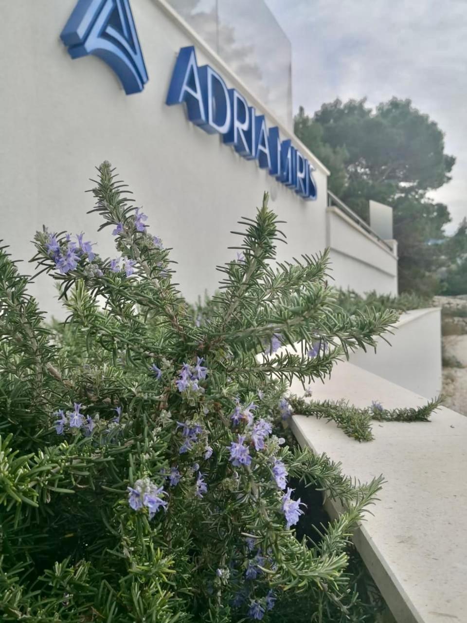 Adria Miris Apartments Drasnice Εξωτερικό φωτογραφία