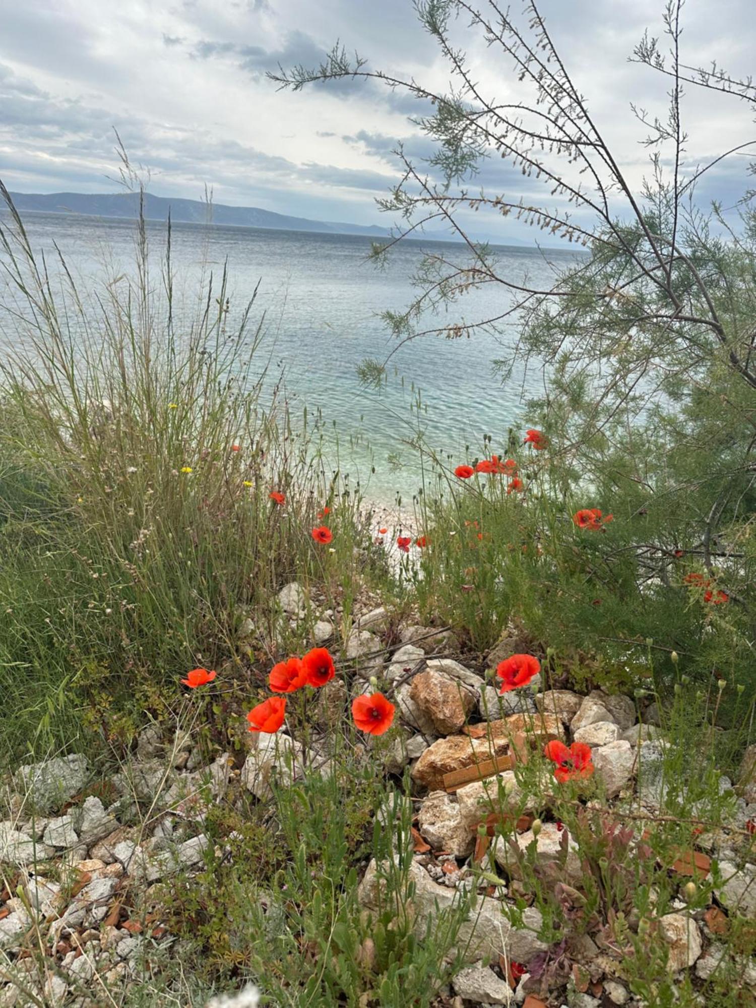 Adria Miris Apartments Drasnice Εξωτερικό φωτογραφία